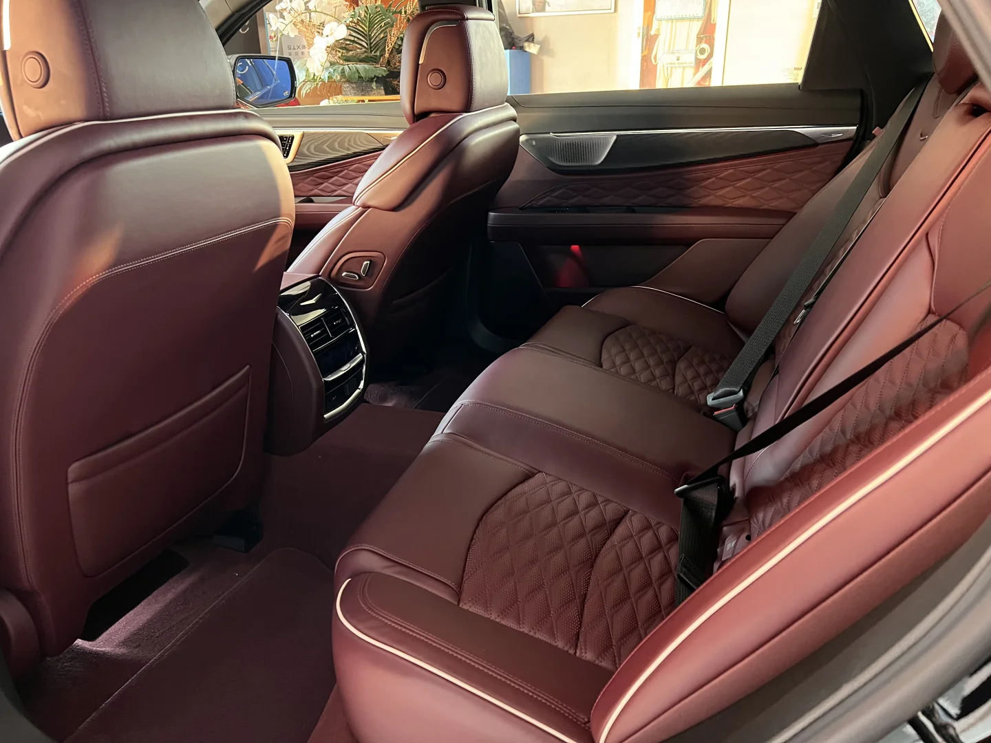 进博会CT6少量红内