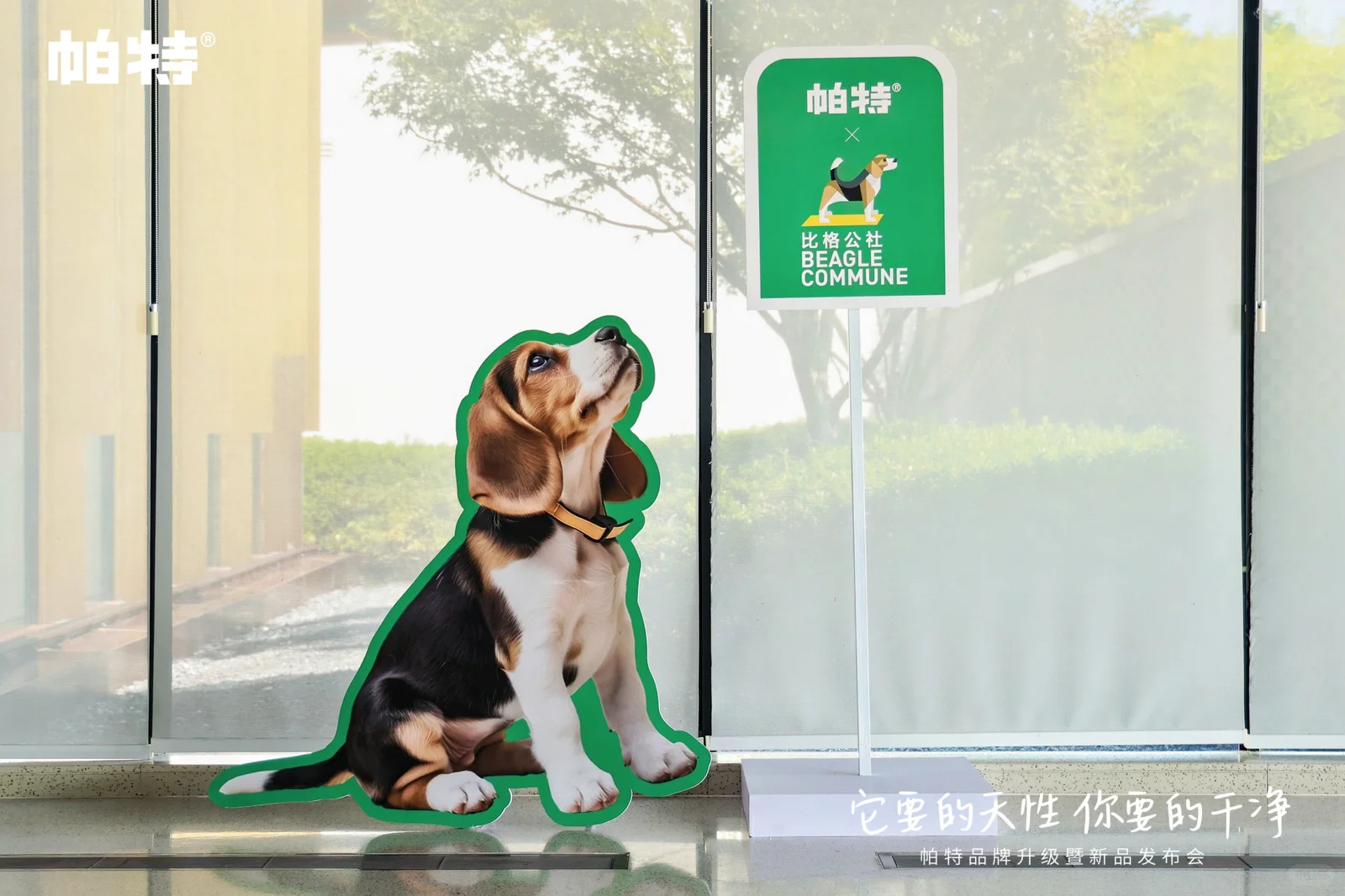 帕特品牌发布会 | 天性之所向，干净之所在