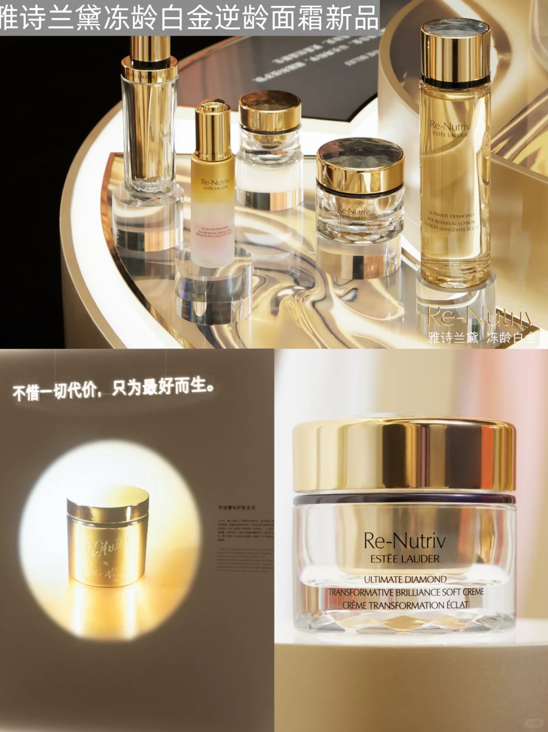 雅诗兰黛整活:官宣朱一龙、前滩开音乐会