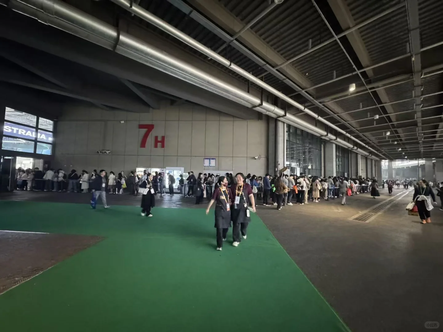 ?首次打卡?进博会?