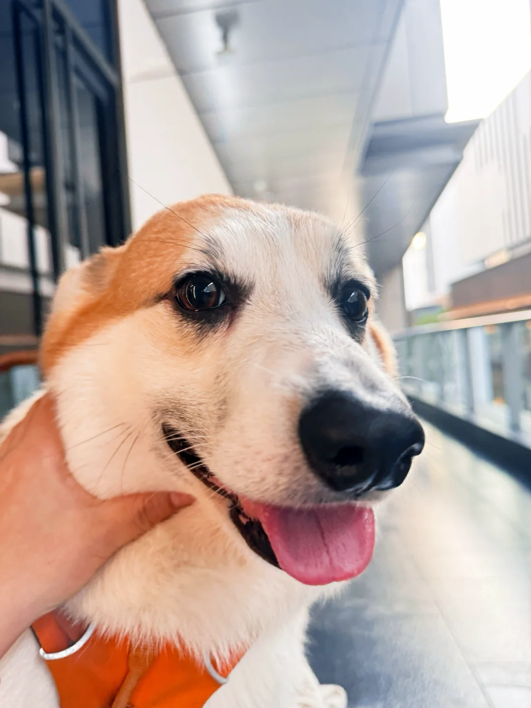 十一月训练结束?