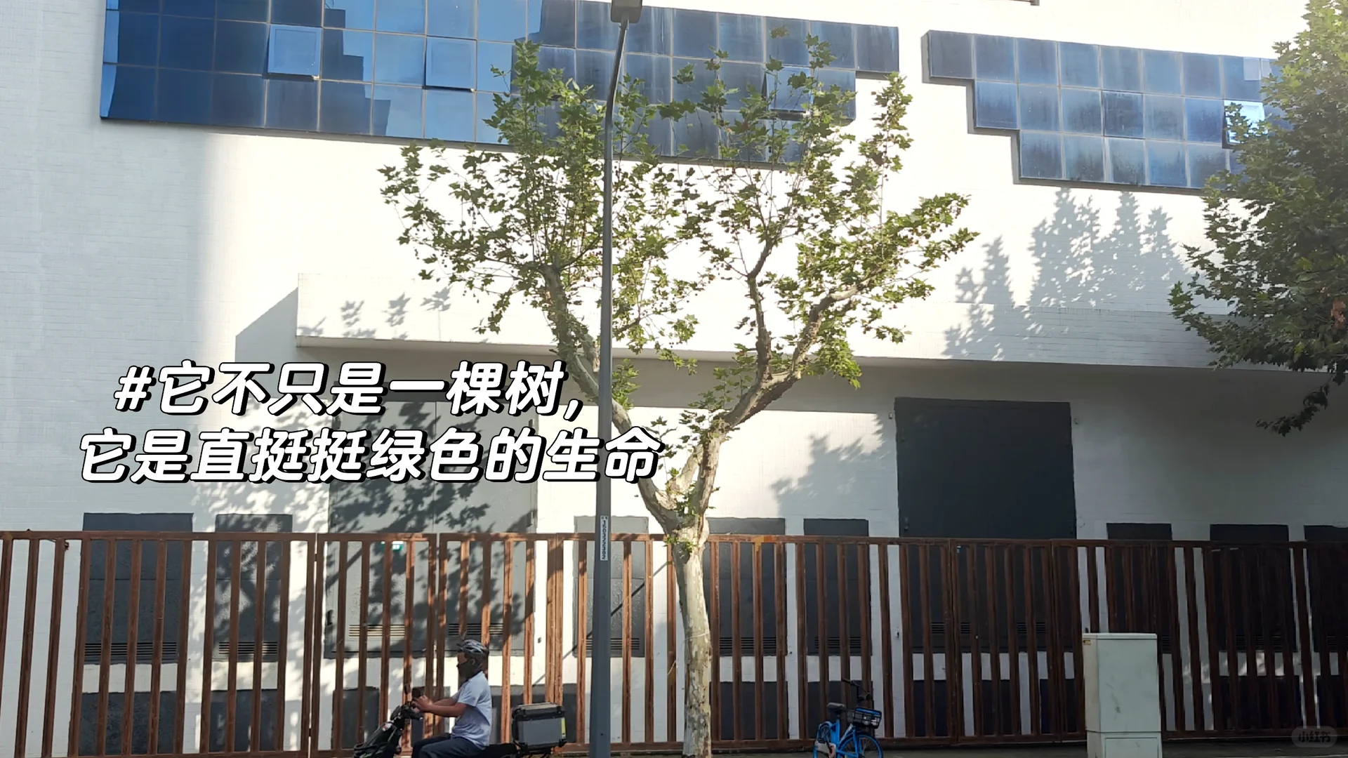 记录25.10.1上海博物馆之旅（东馆）