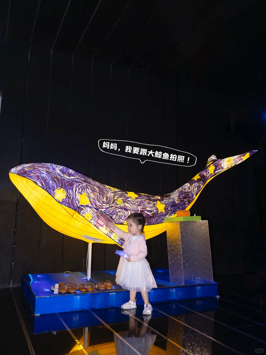 封面宝宝来参加kidsbay发布会啦！?