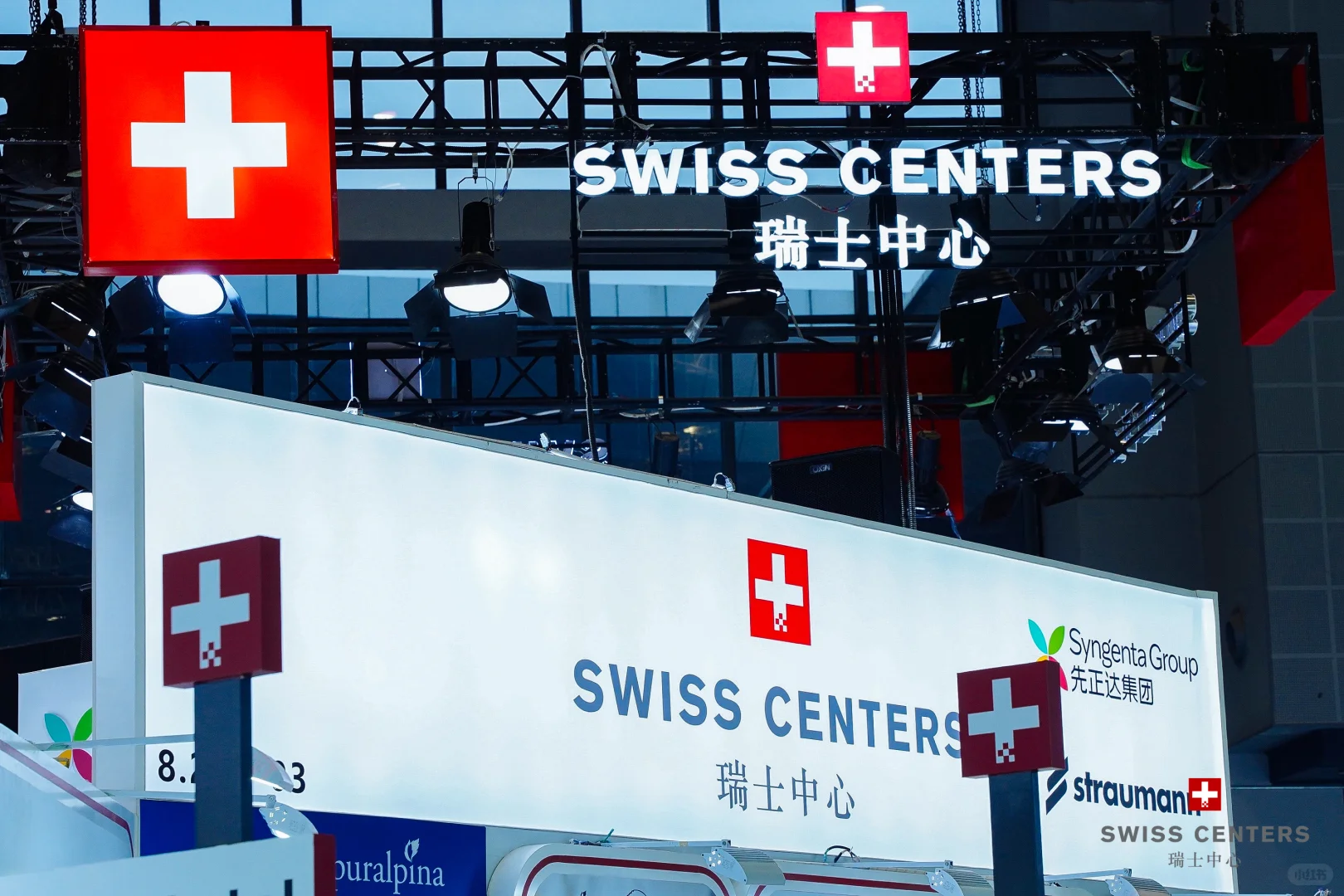 ?进博会现场直击,先睹为快