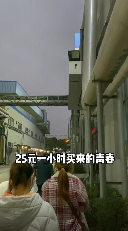 学生工进厂实录｜25/h买走的青春有多窒息