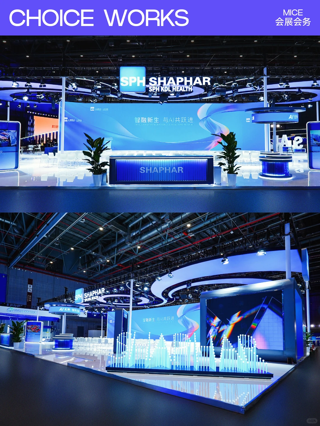 800平进博展台,智美呈现