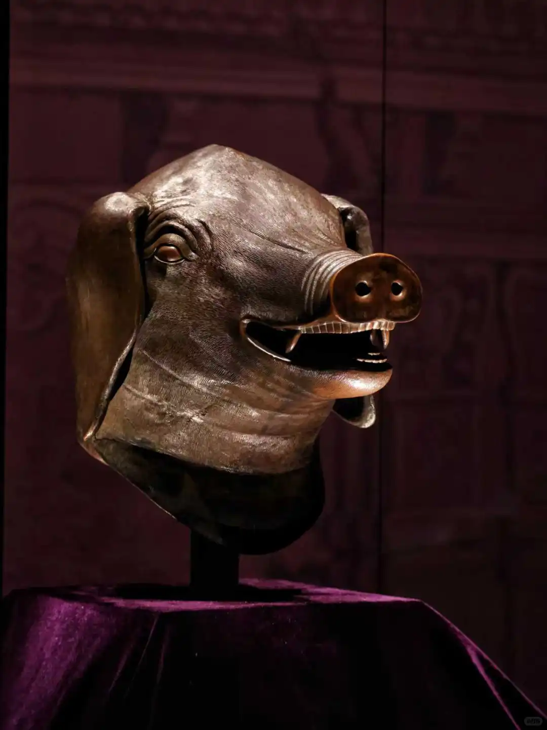 保姆级攻略｜哈尔滨国宝特展怎么逛？