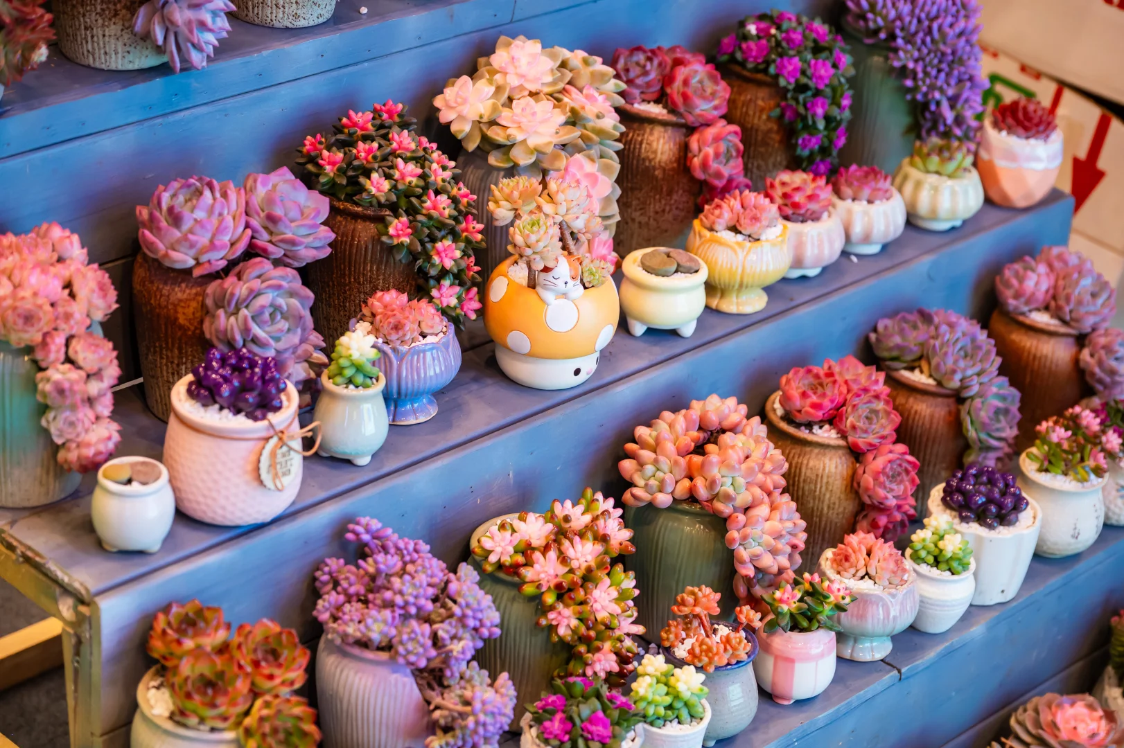 ?这周末解锁新副本：双12购物嘉年华！