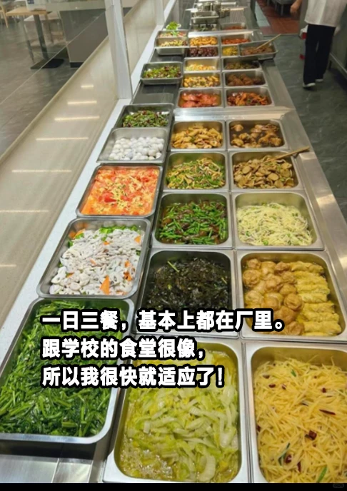 学生工进厂实录｜25/h买走的青春有多窒息