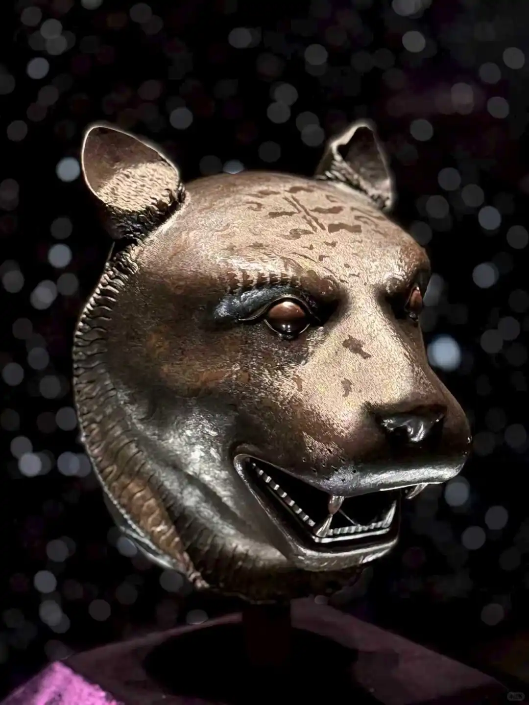 保姆级攻略｜哈尔滨国宝特展怎么逛？