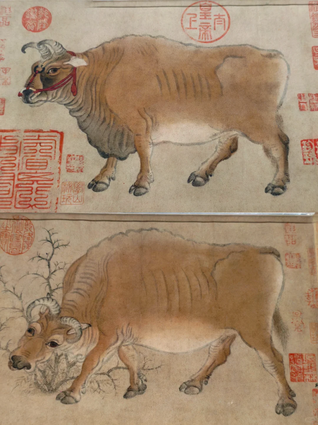 故宫百年大展‼️超全参观攻略+必看展品