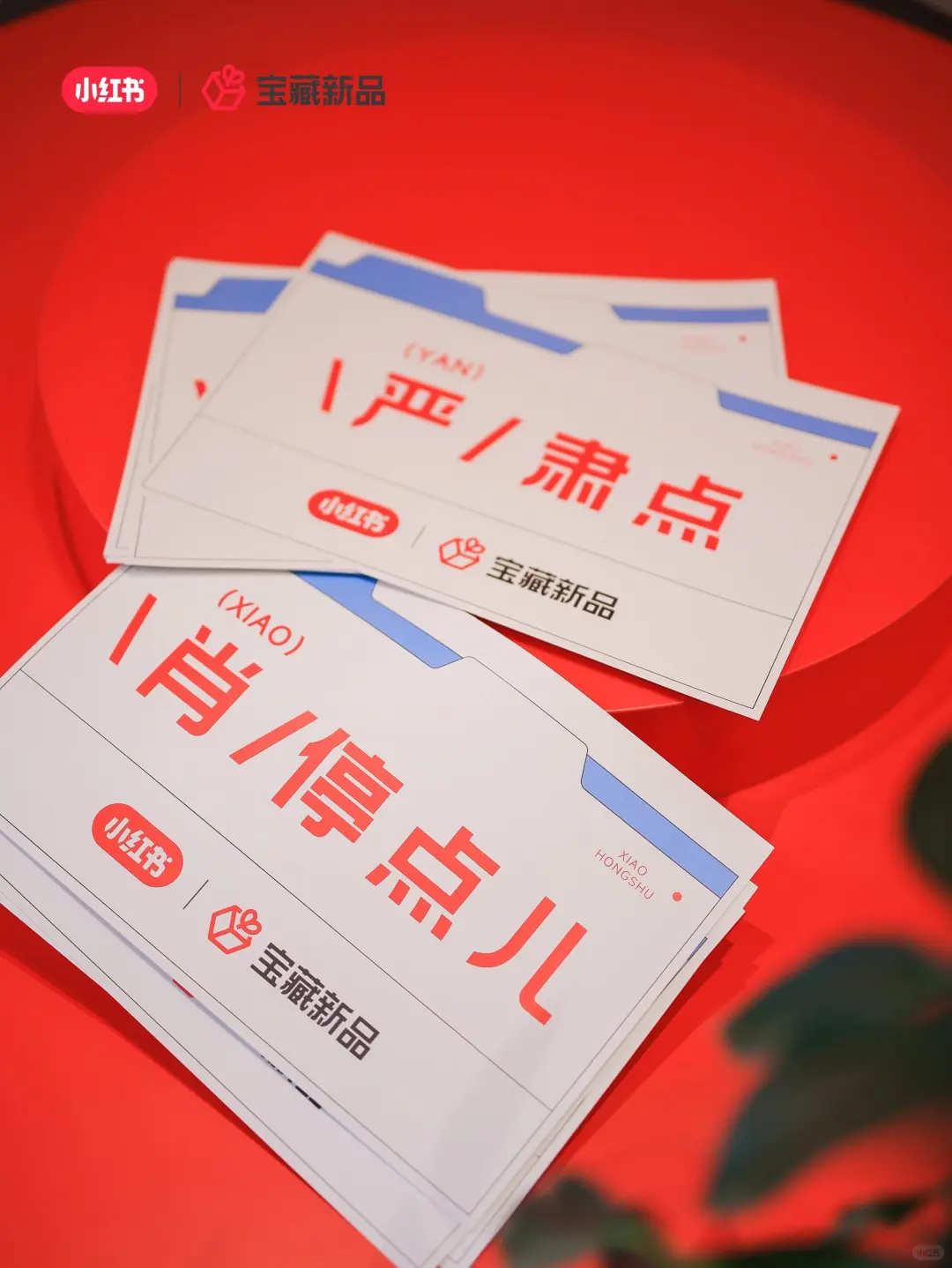 活动策划|案例分享|小红书宝藏新品发布会