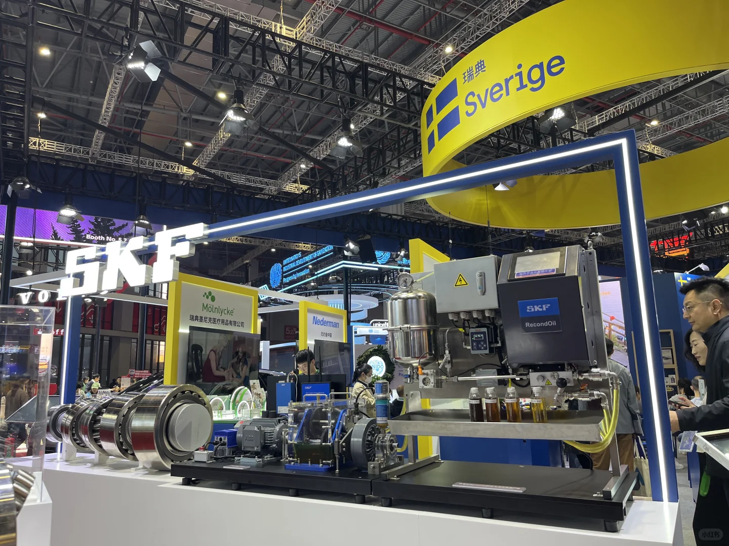 上海进博会佛系暴走8小时攻略