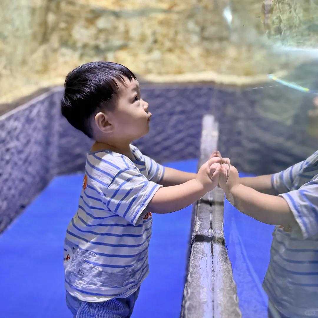 小月龄广州遛娃去哪里