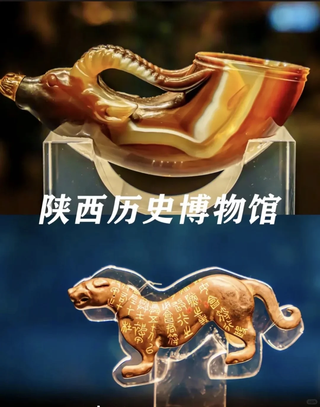陕历博VS西安博物馆 到底选哪个