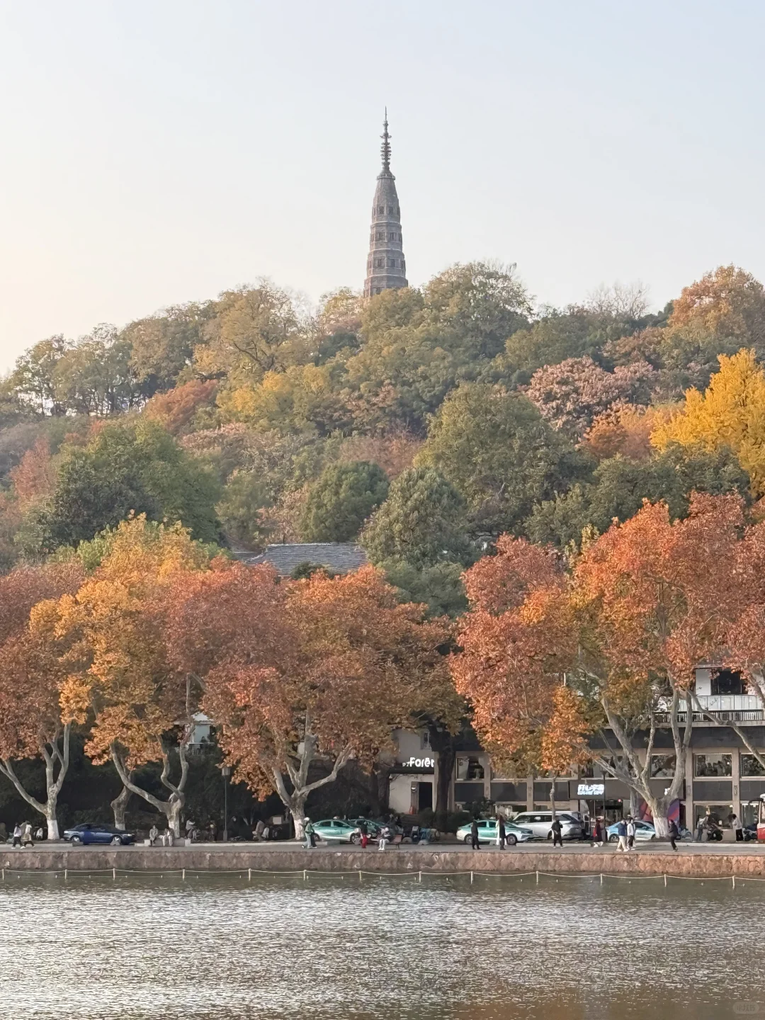 亚马逊跨境峰会，进货来了