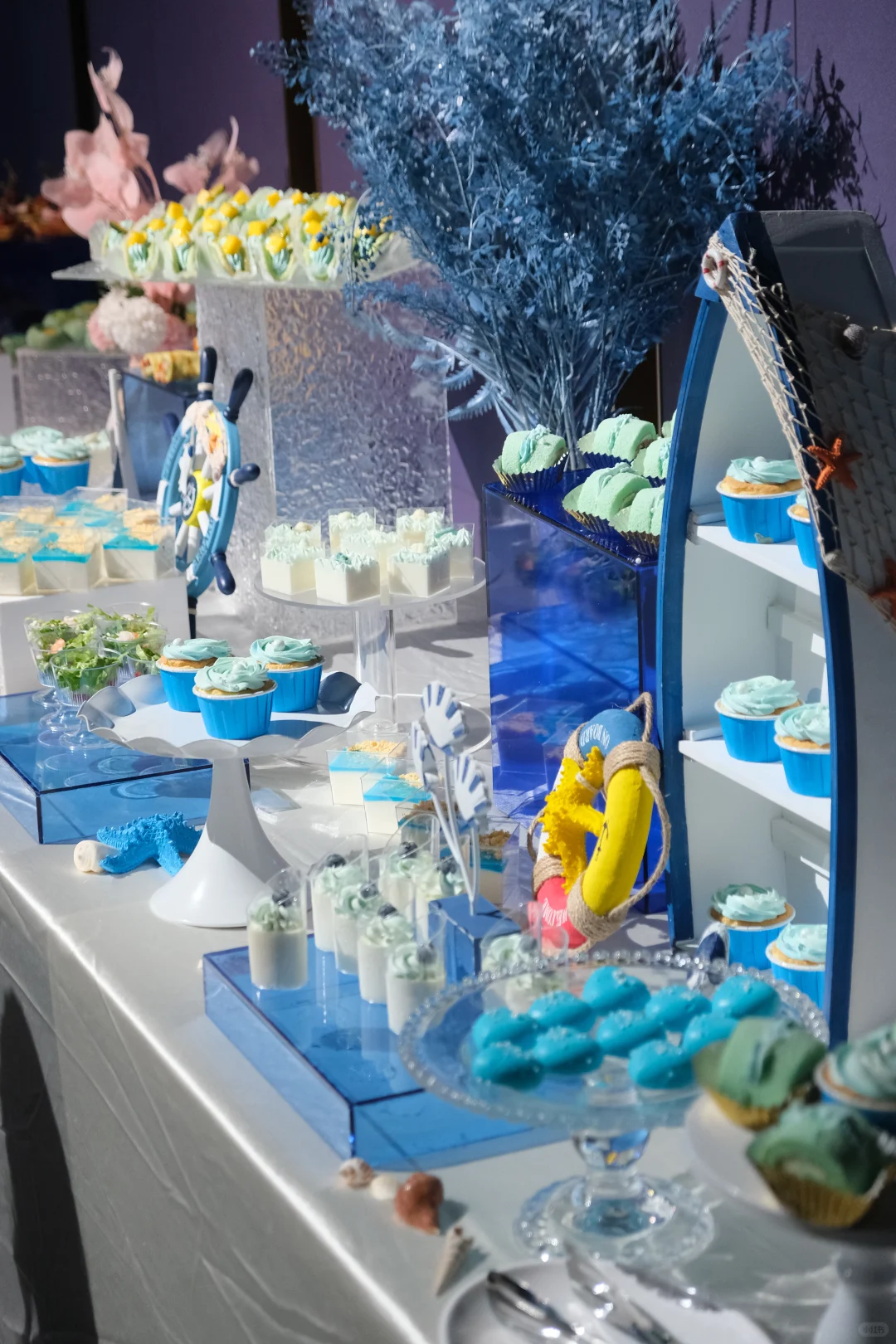 在蔚蓝梦境寻找童趣与美好???