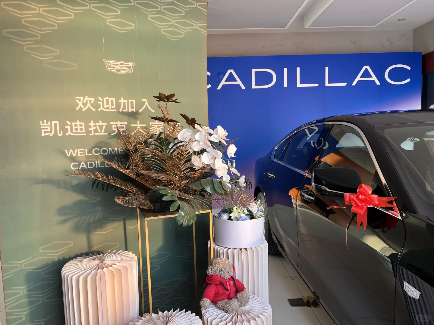 进博会CT6少量红内