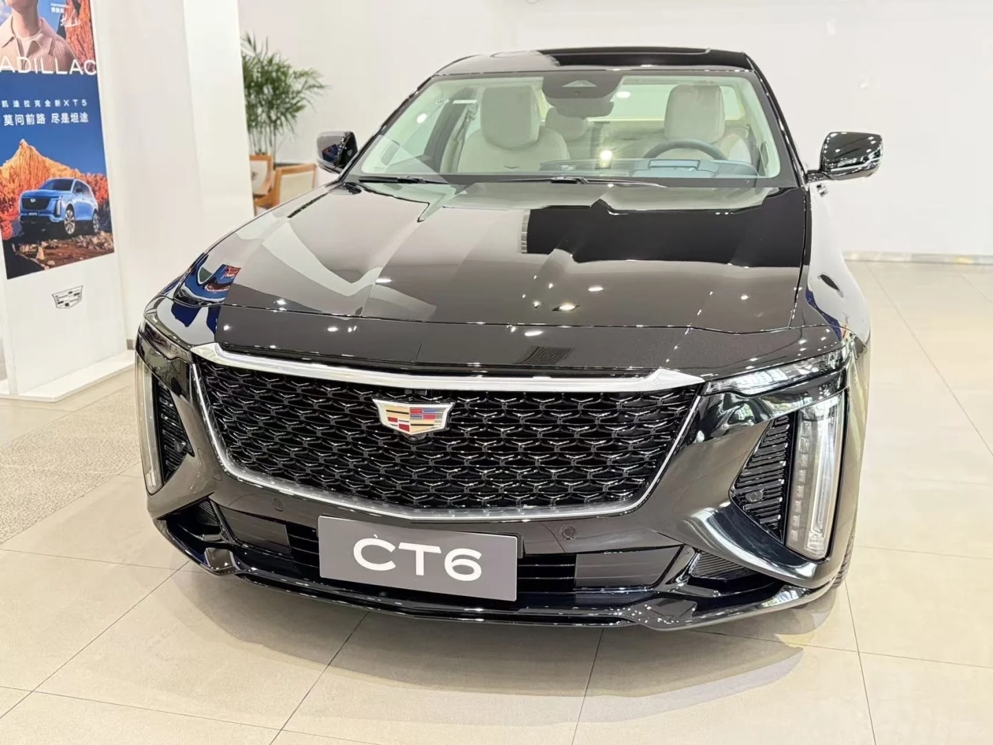 一年一度的CT6进博会车子又来啦