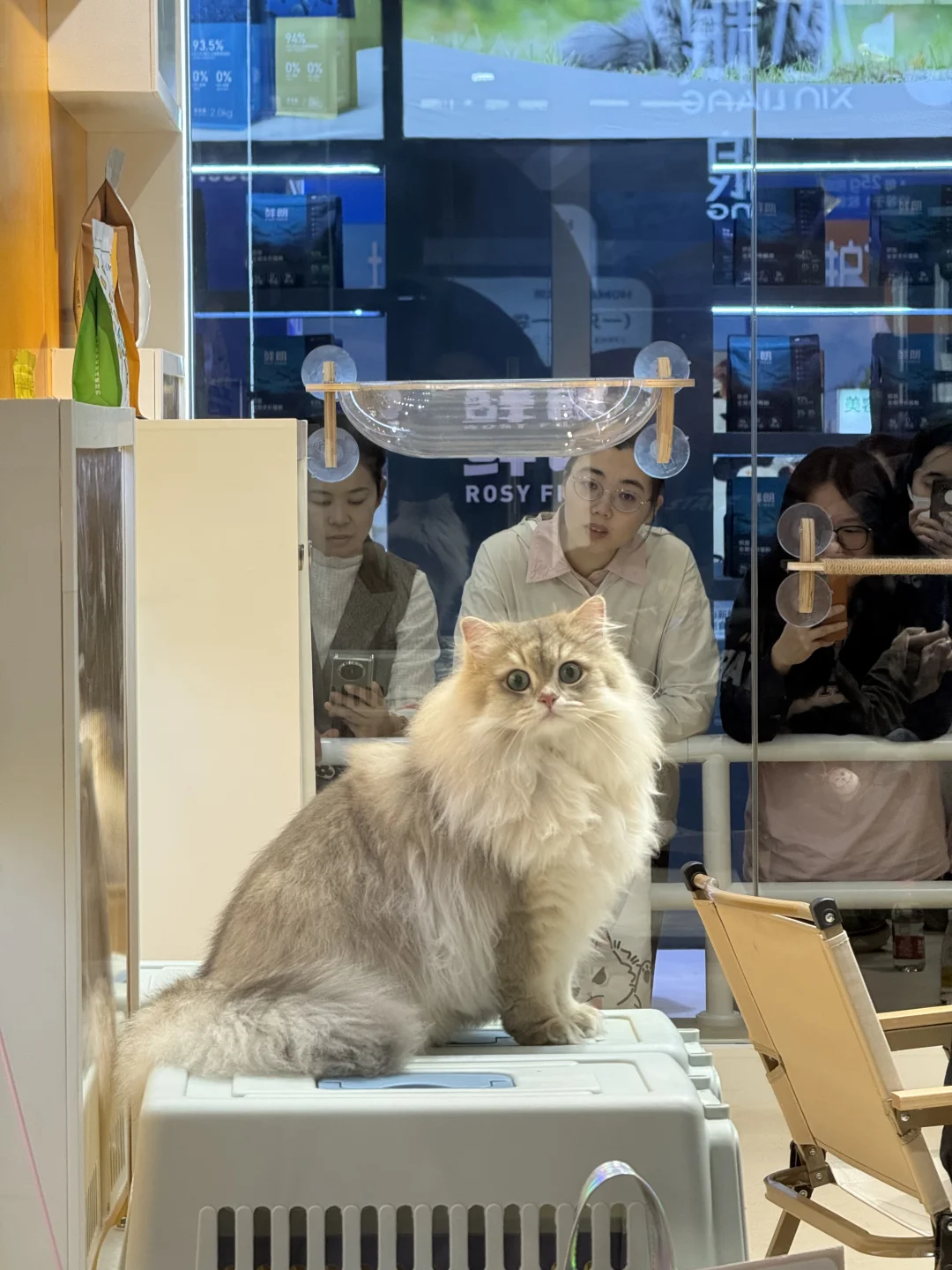 亚宠华南展攻略来喽，后附展会地图！