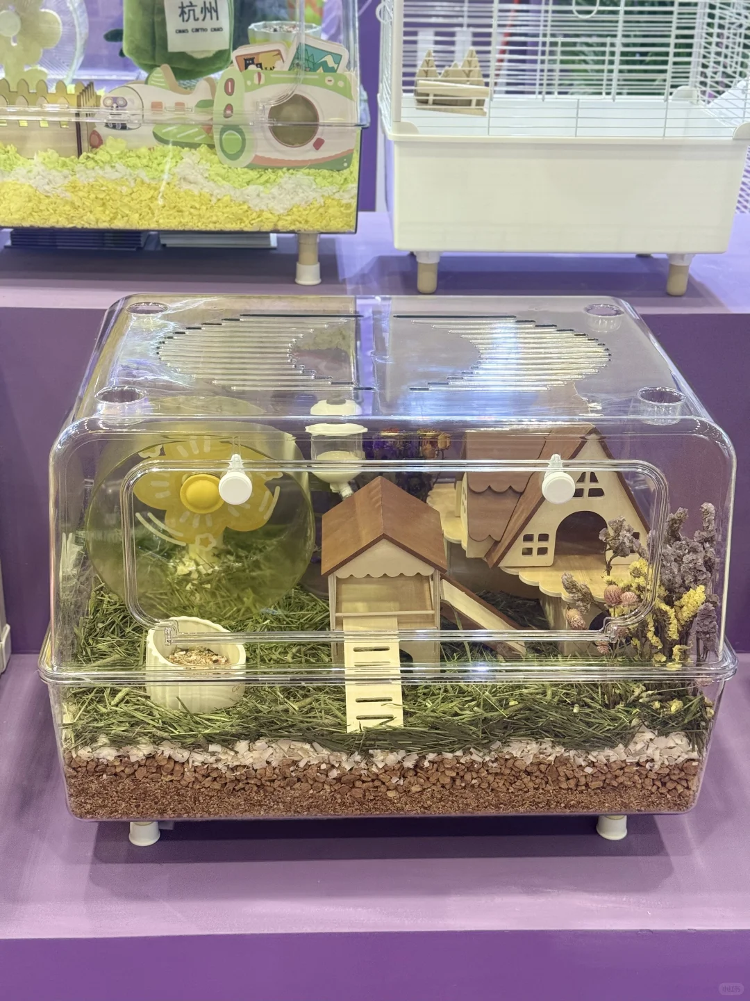 深圳亚宠展全攻略|附薅羊毛指南