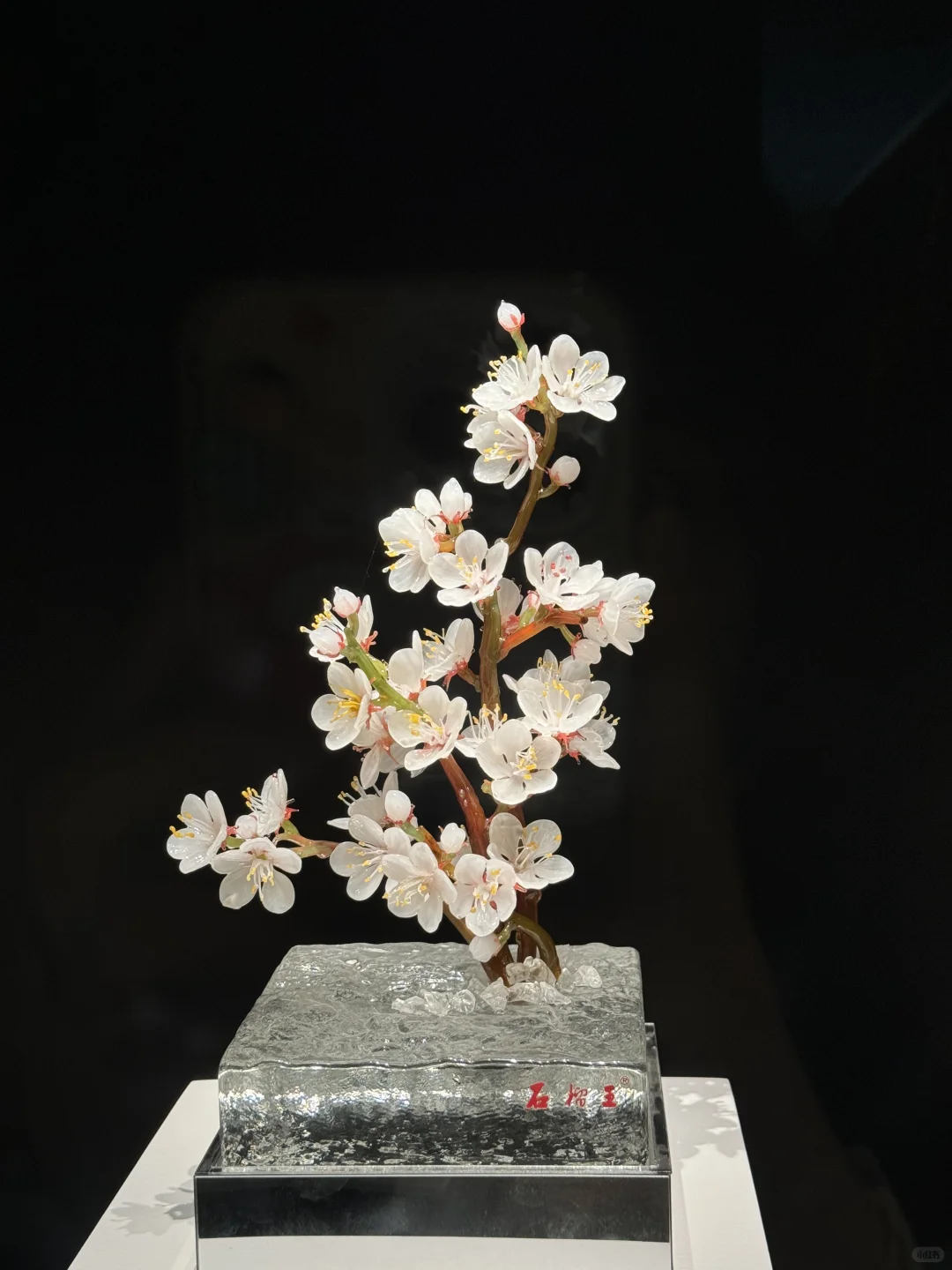 【?淄博】十二花神落人间