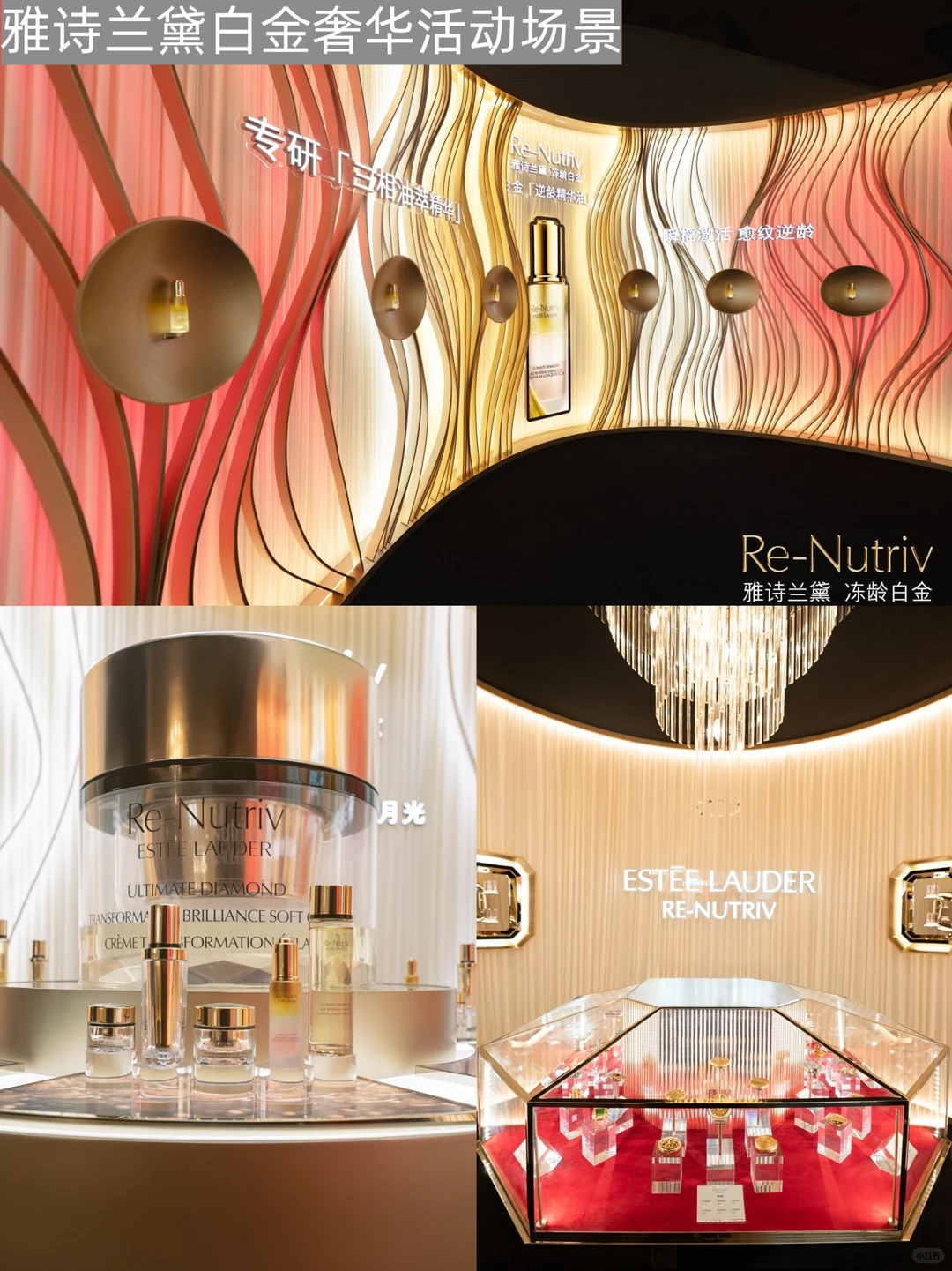 雅诗兰黛整活:官宣朱一龙、前滩开音乐会