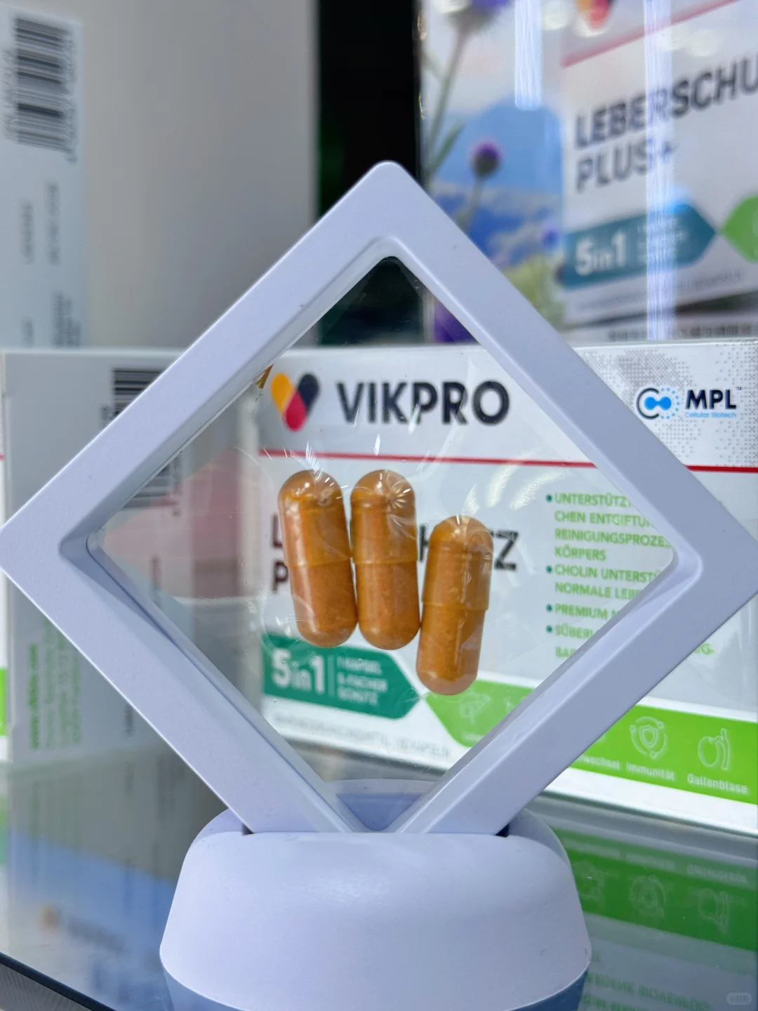 逛进博会的第二天！终于挖到宝了！！✨✨