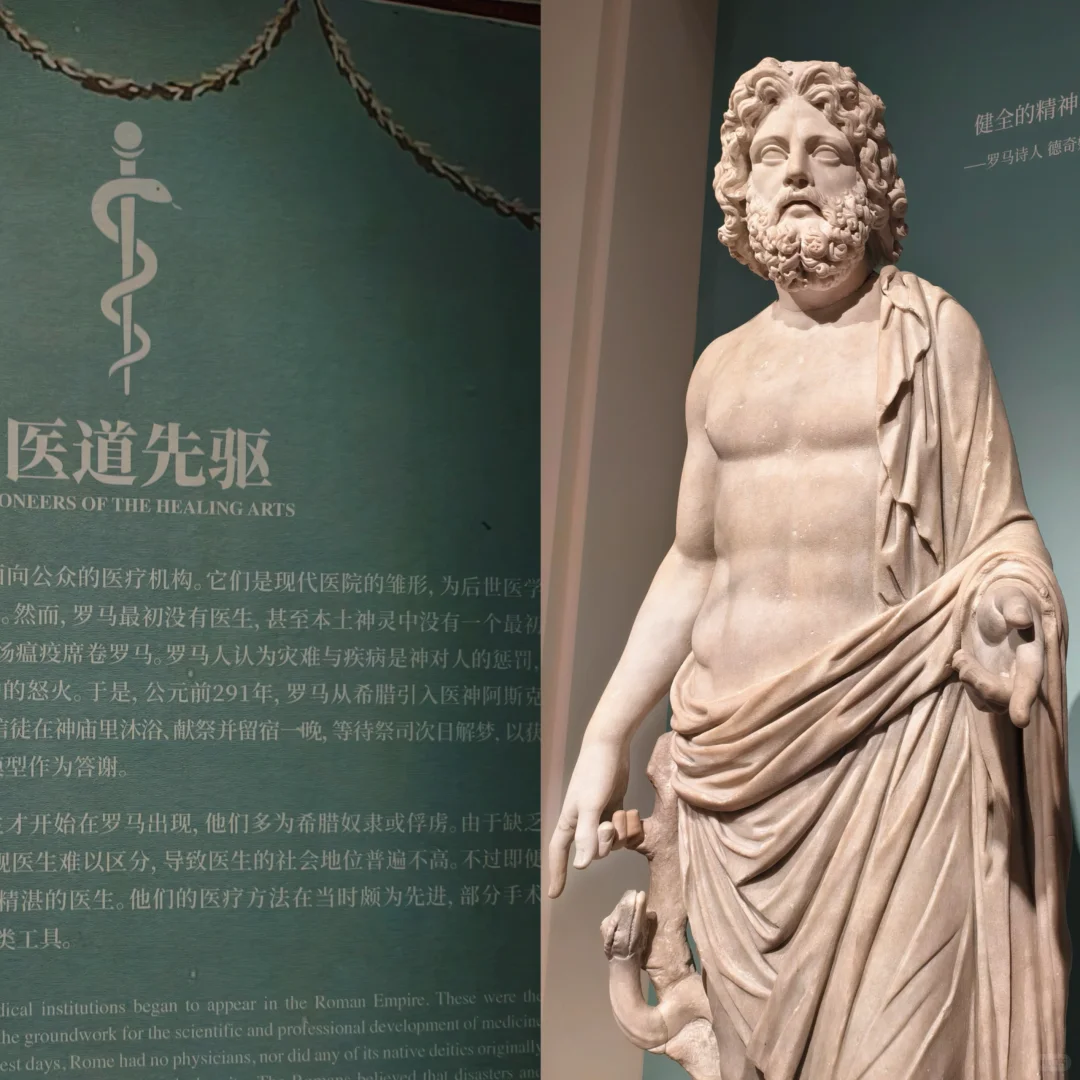 “罗马罗马从奥林匹斯到卡皮托利”观展记录