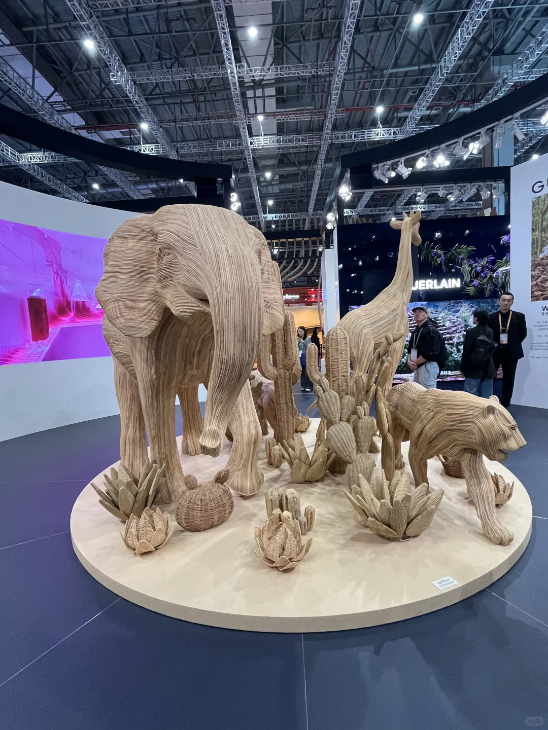 上海进博会佛系暴走8小时攻略