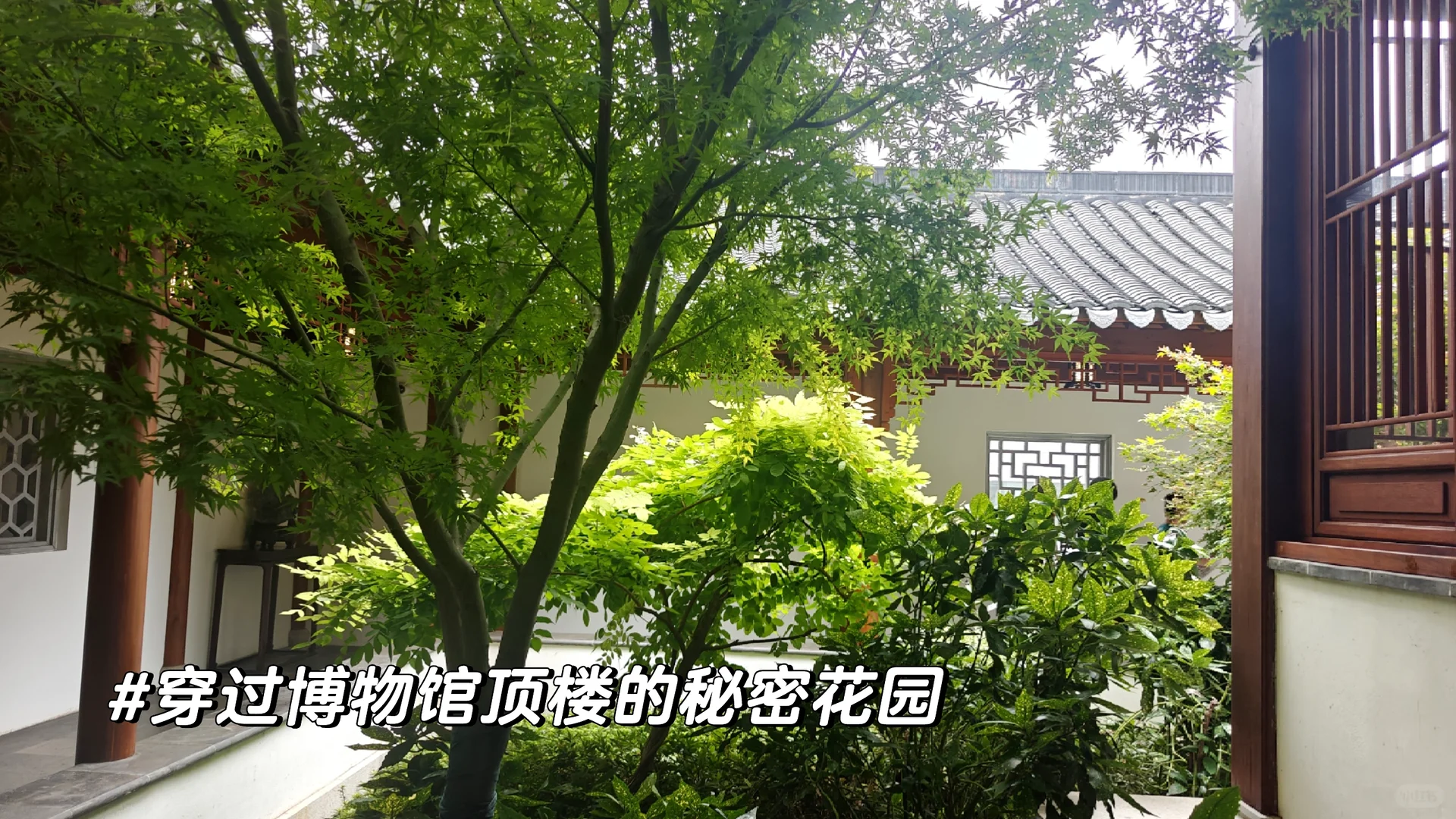 记录25.10.1上海博物馆之旅（东馆）