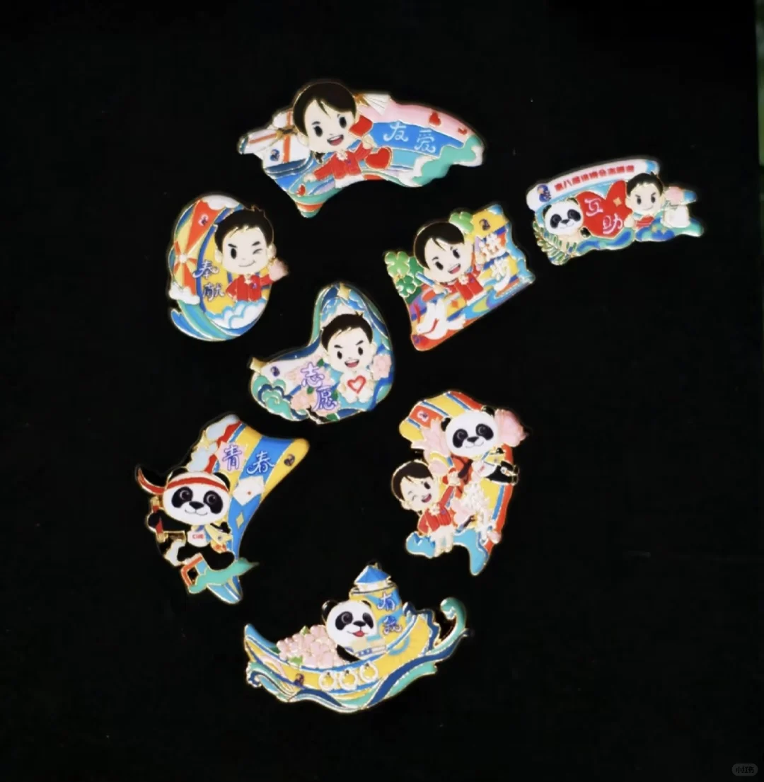 出高校进博会徽章