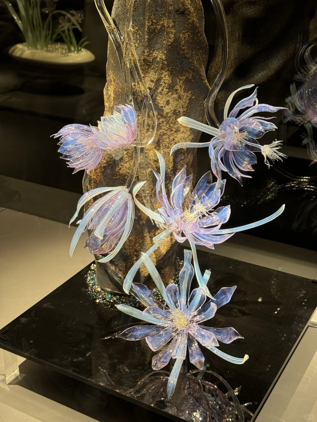 【?淄博】十二花神落人间