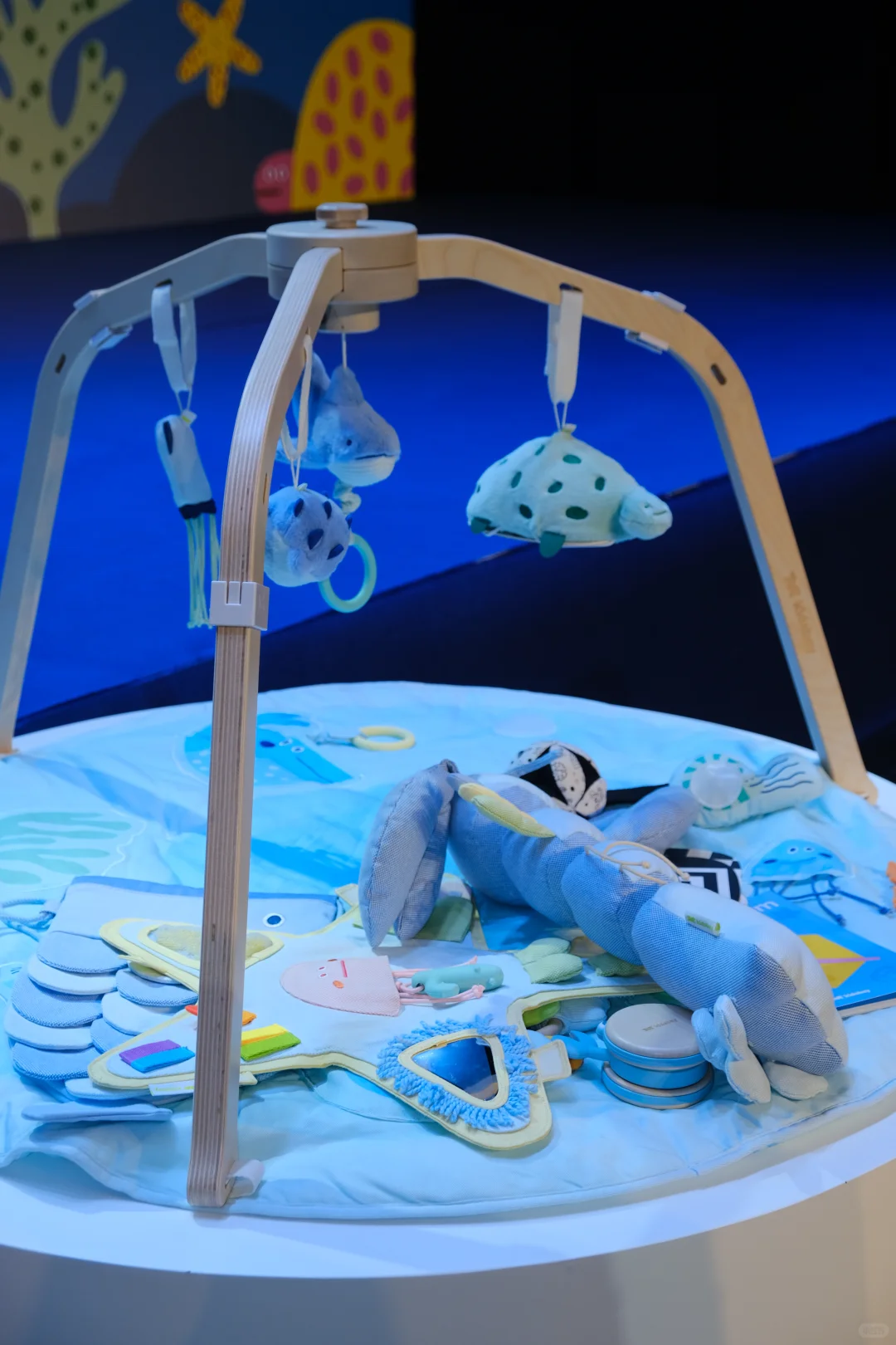 在蔚蓝梦境寻找童趣与美好???