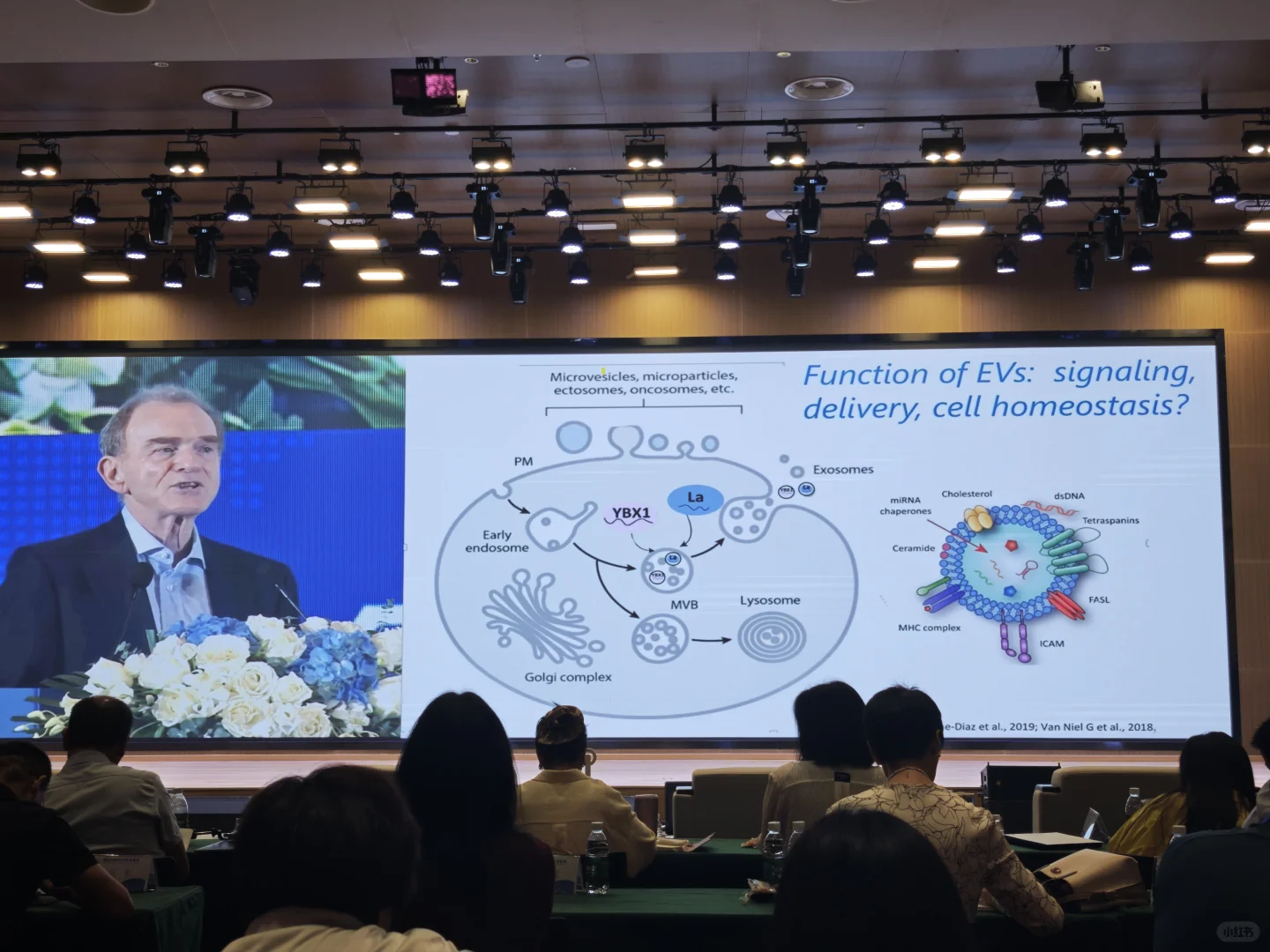 细胞大会•2025年度盛典