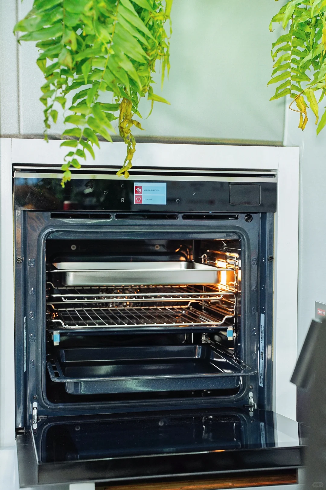 弗兰卡进博会｜邂逅瑞士厨房的精工与优雅