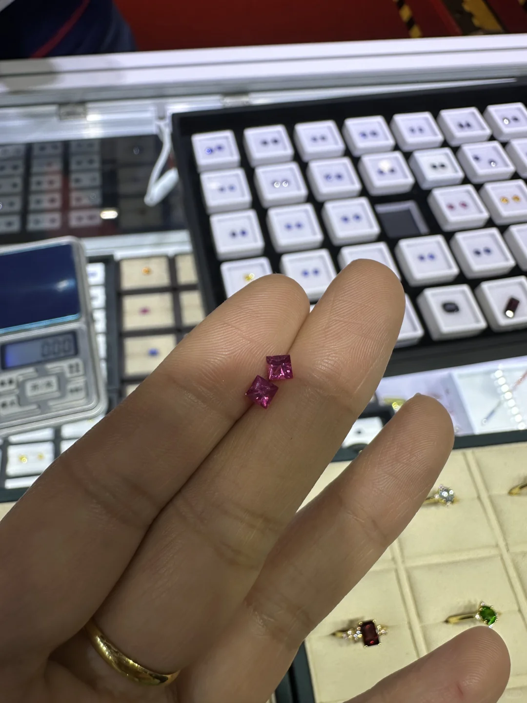 CIIE上海进博会打工记