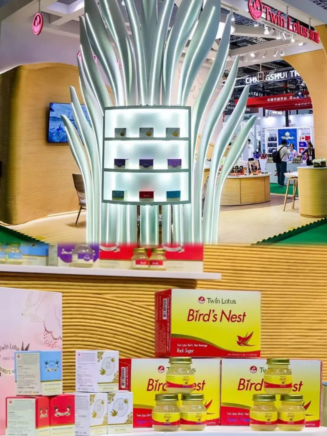 进博会打卡新地标！双莲「自然滋养」美学空间！