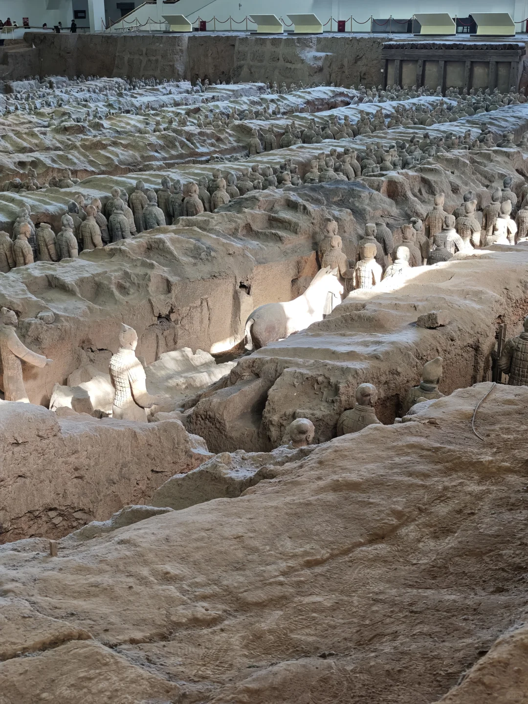 精神西安人的兵马俑长恨歌半日体验