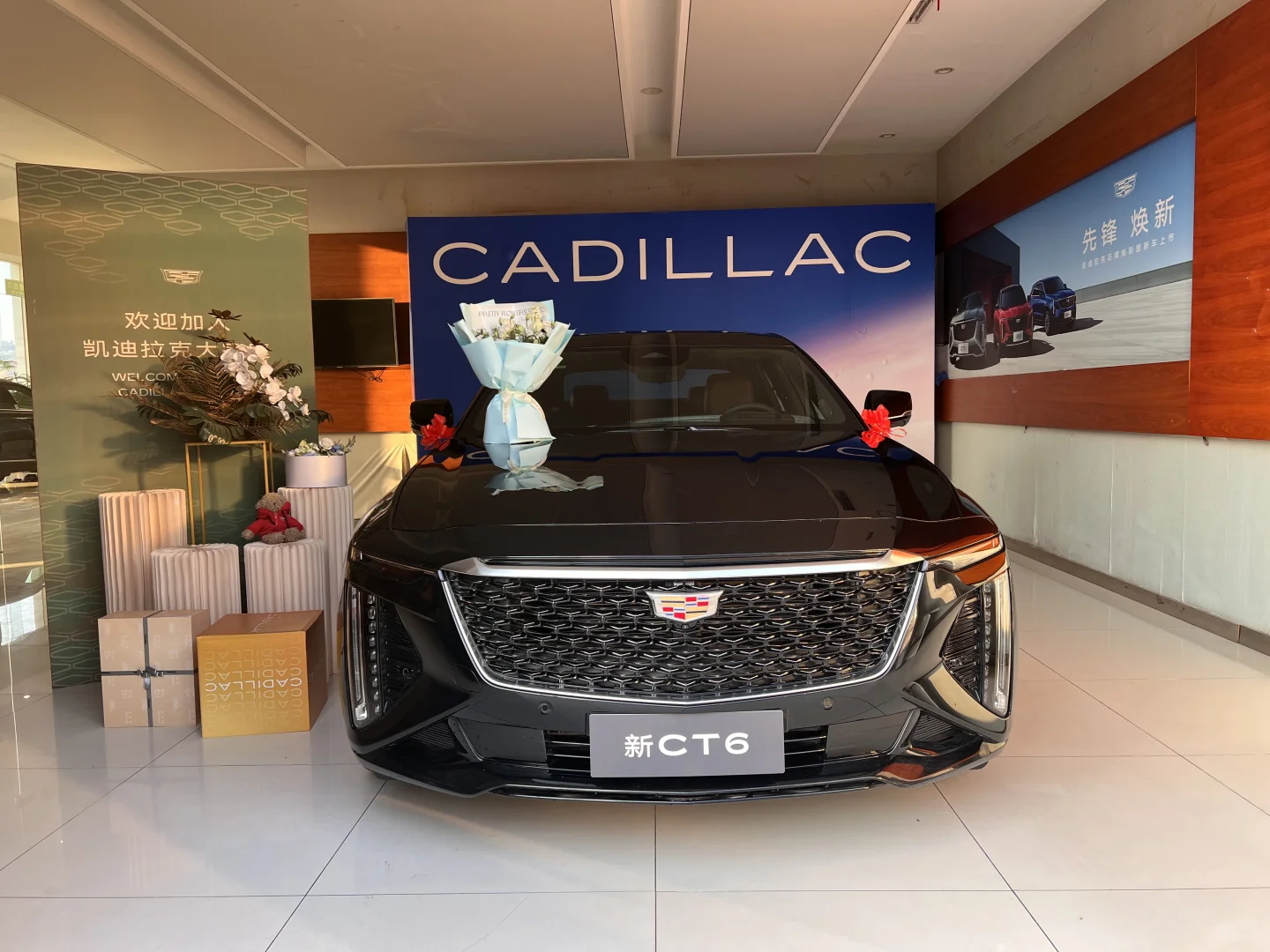 进博会CT6少量红内