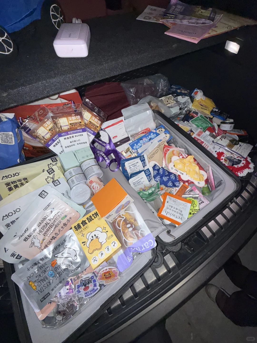 深圳亚宠展全攻略|附薅羊毛指南