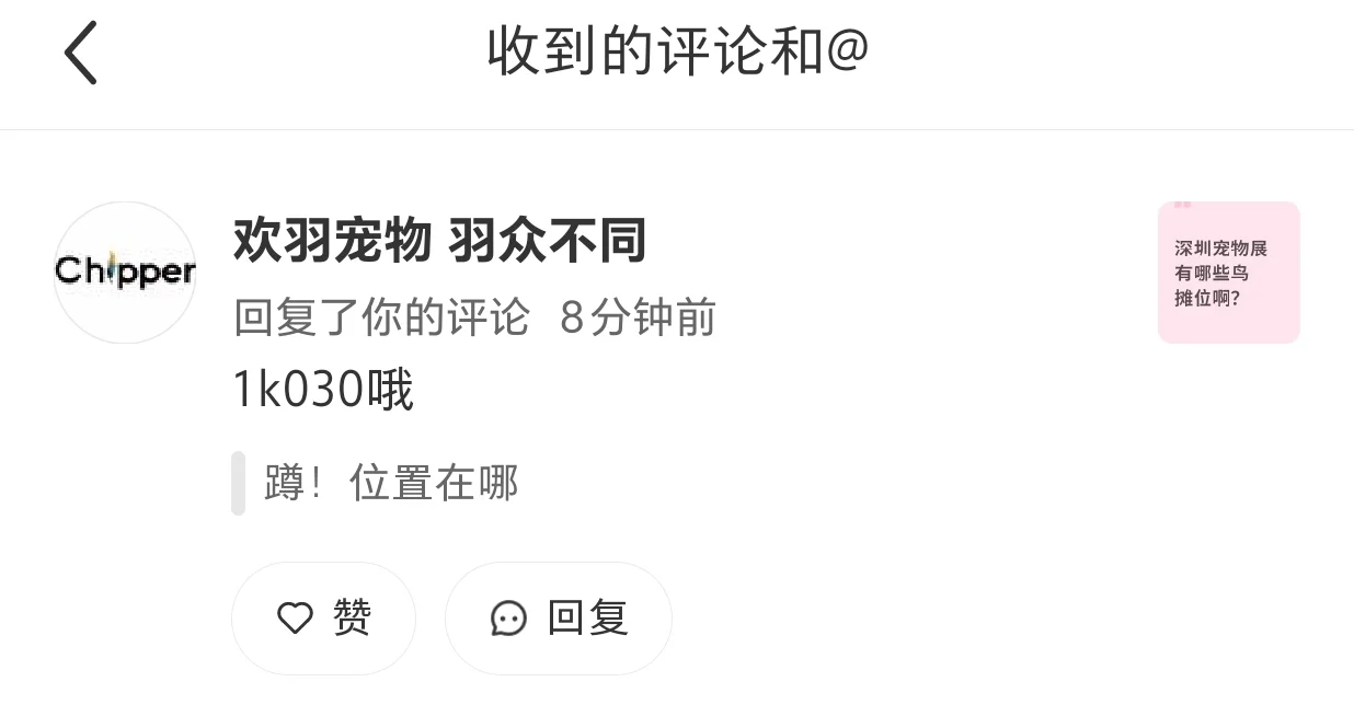 深圳亚宠会鹦鹉摊位整理