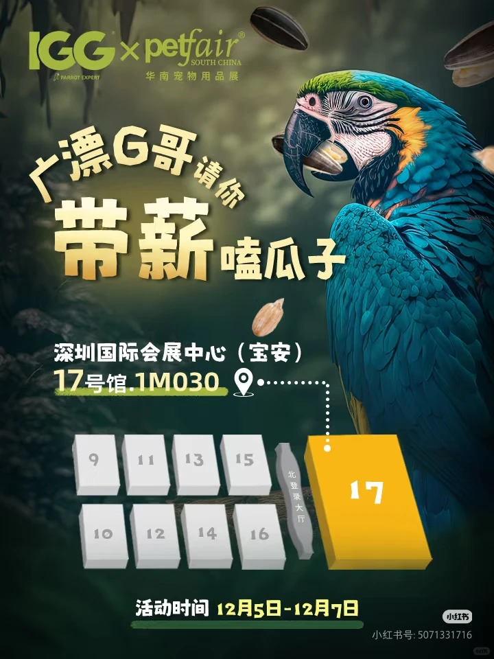 深圳亚宠会鹦鹉摊位整理