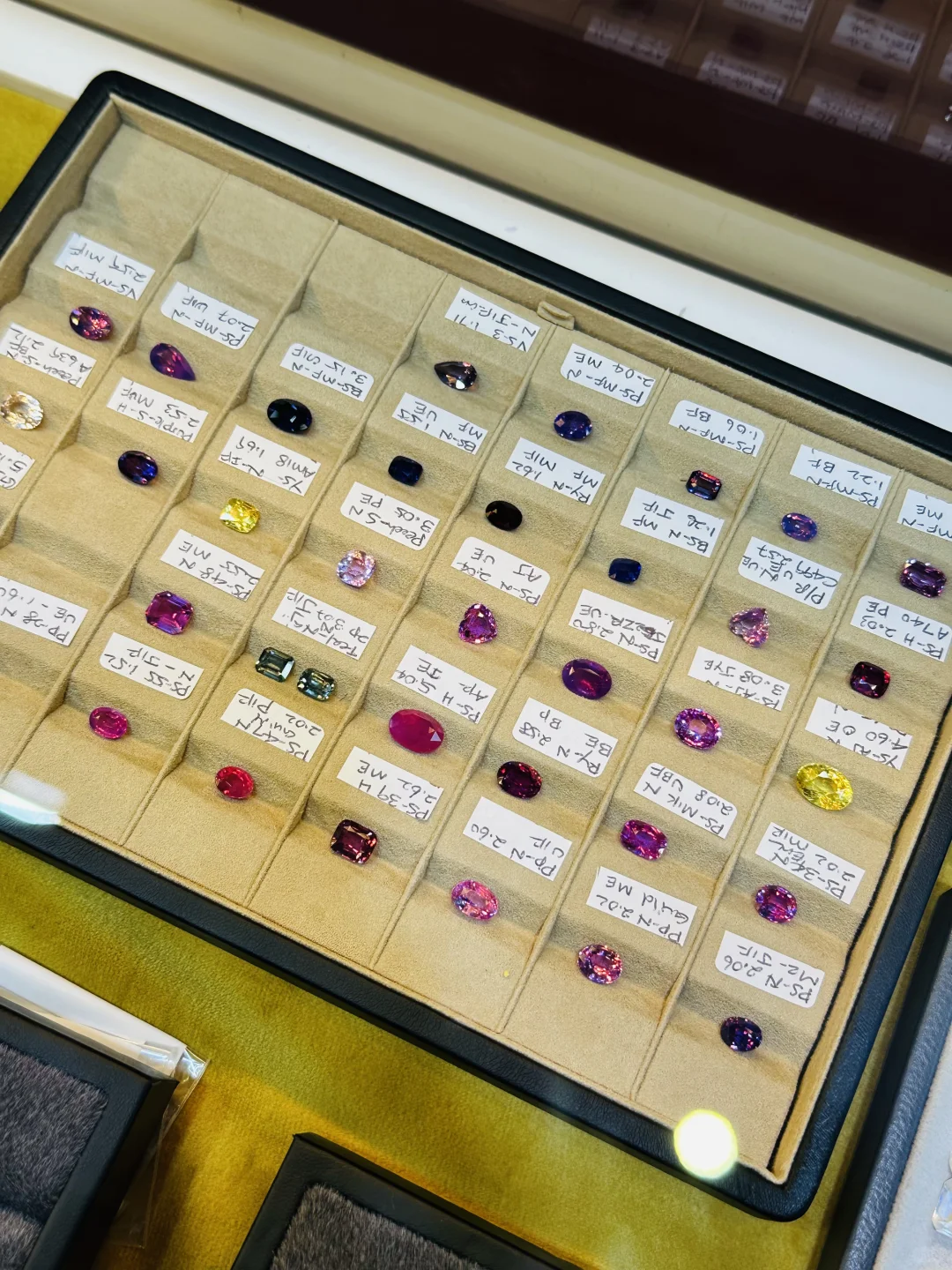 CIIE上海进博会打工记