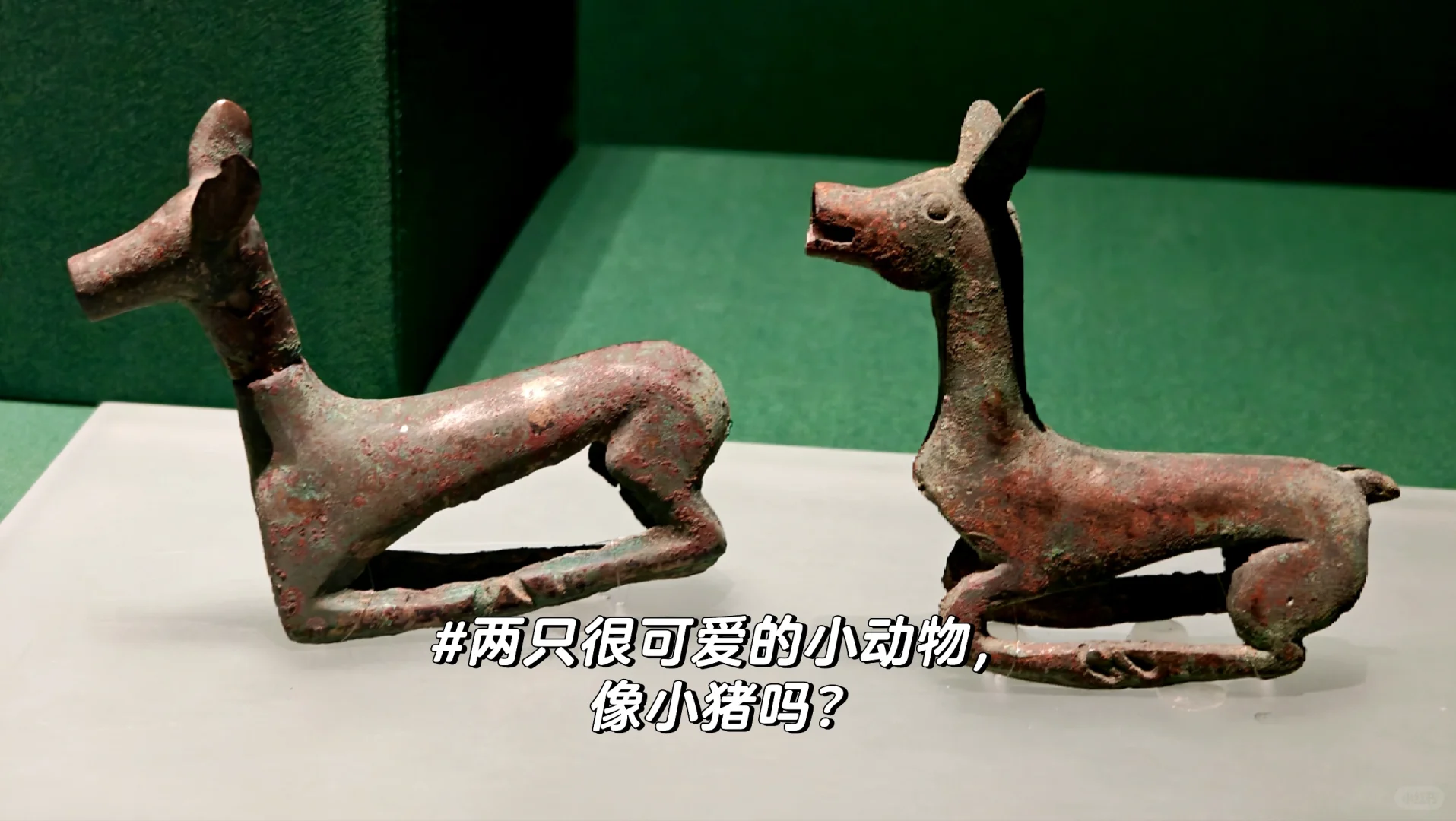 记录25.10.1上海博物馆之旅（东馆）