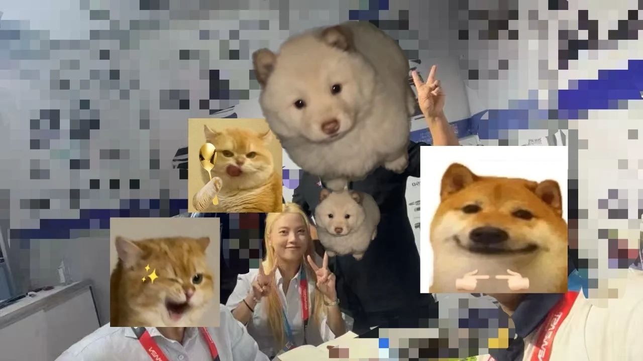 做翻译又做来迪拜出差啦～全球可飞～