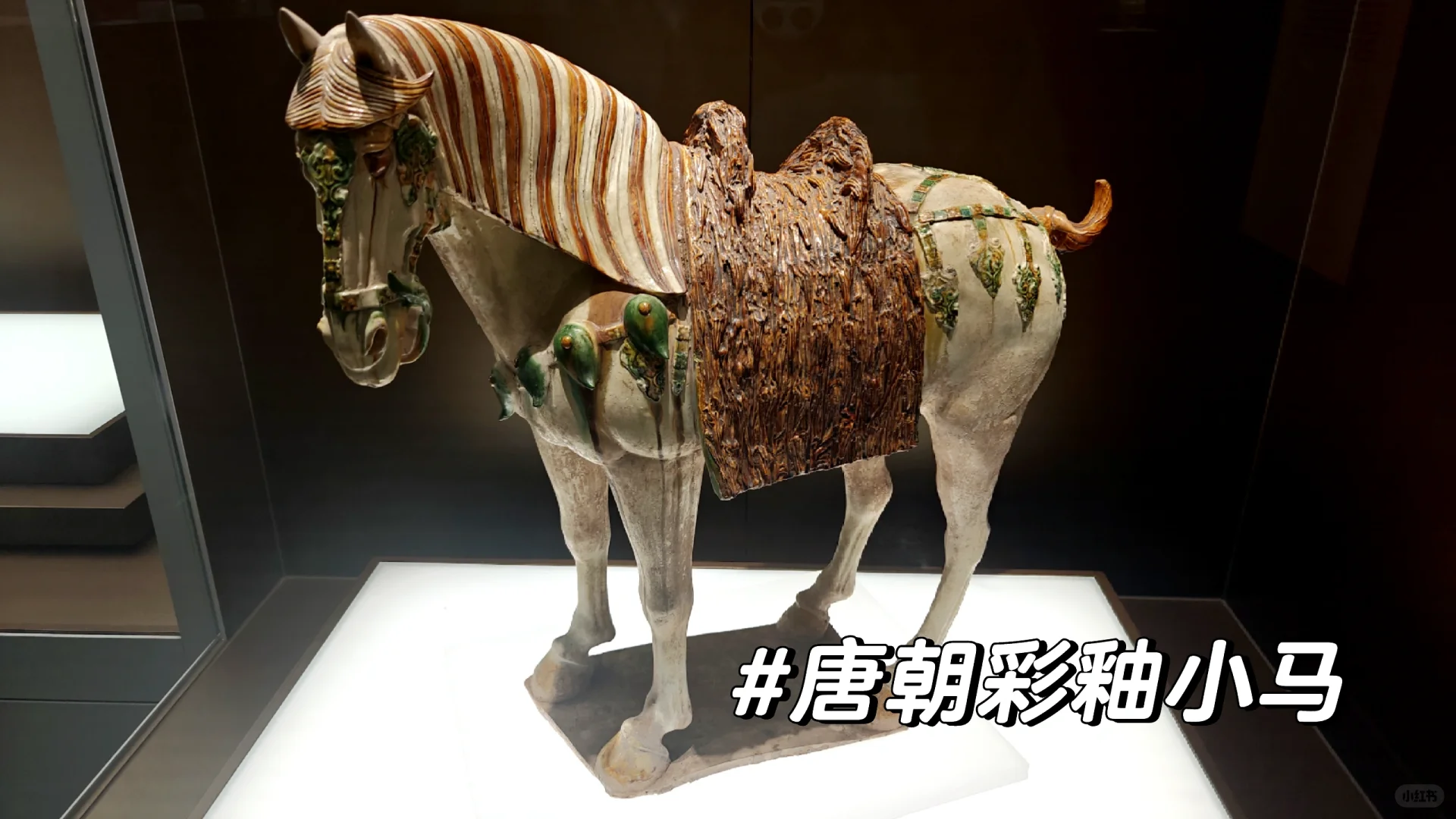 记录25.10.1上海博物馆之旅（东馆）