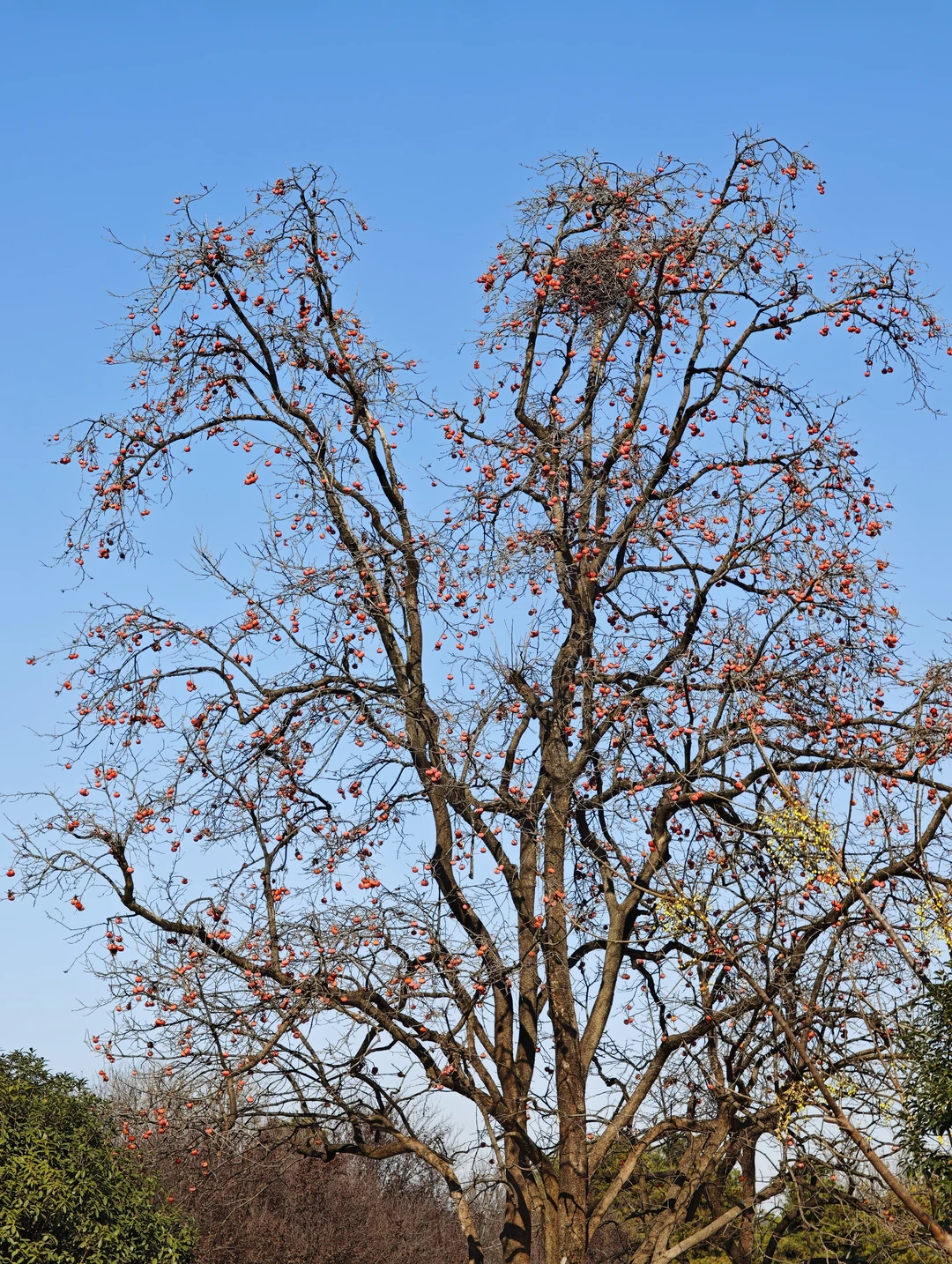 精神西安人的兵马俑长恨歌半日体验
