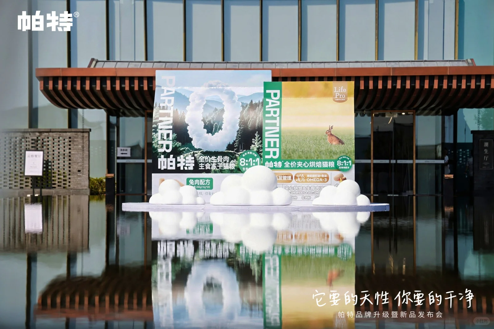 帕特品牌发布会 | 天性之所向，干净之所在