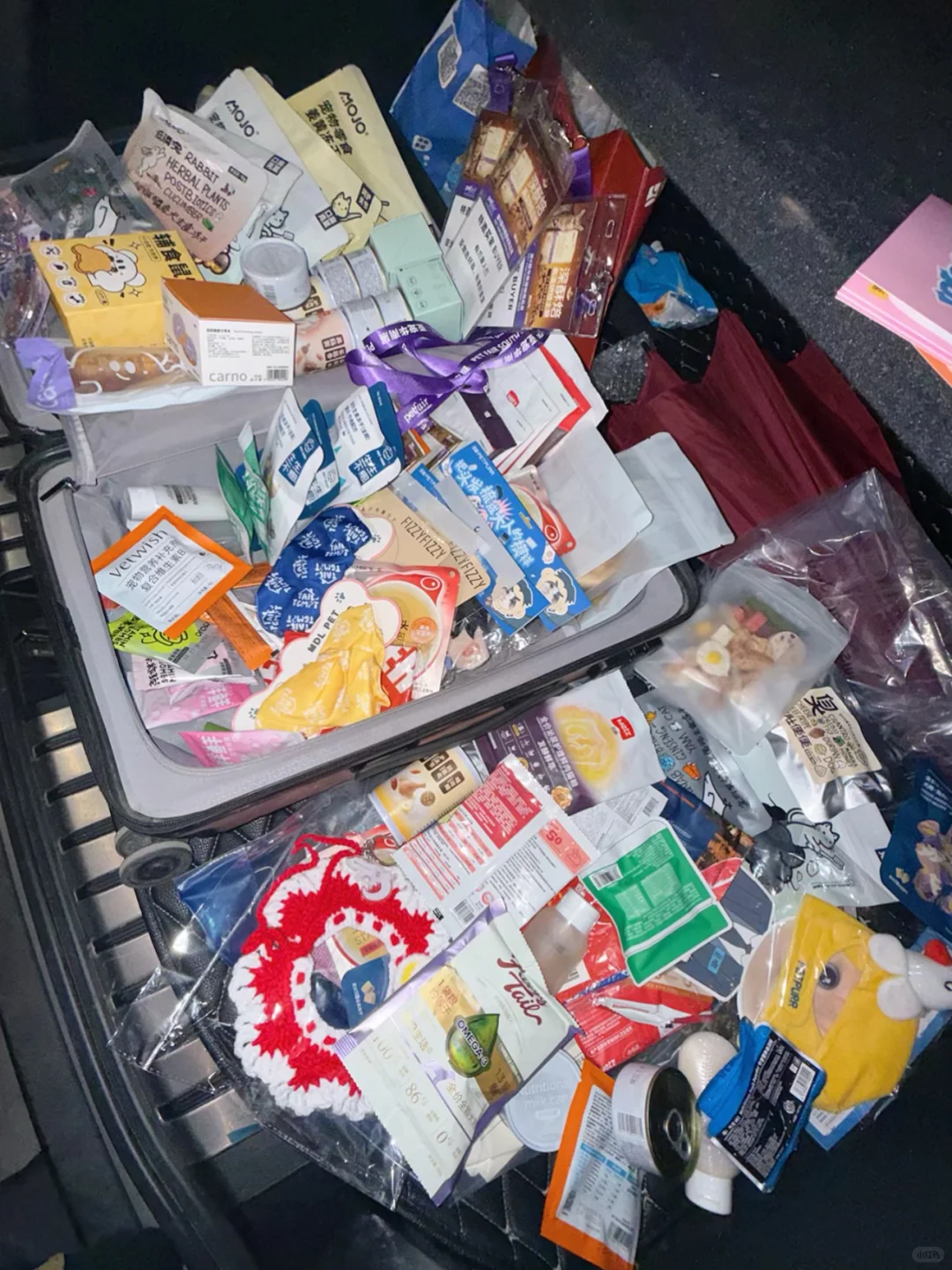 深圳亚宠展全攻略|附薅羊毛指南